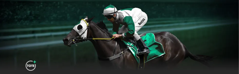 常规赛,森林狼与詹,姆斯对决亮,世界杯直播,2026世界杯,免费看直播,各大赛事,观看渠道