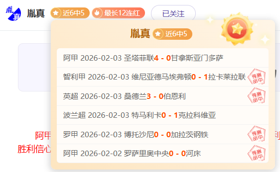 小波什困境,历经八年奋,却难成副手,世界杯直播,2026世界杯,免费看直播,各大赛事,观看渠道